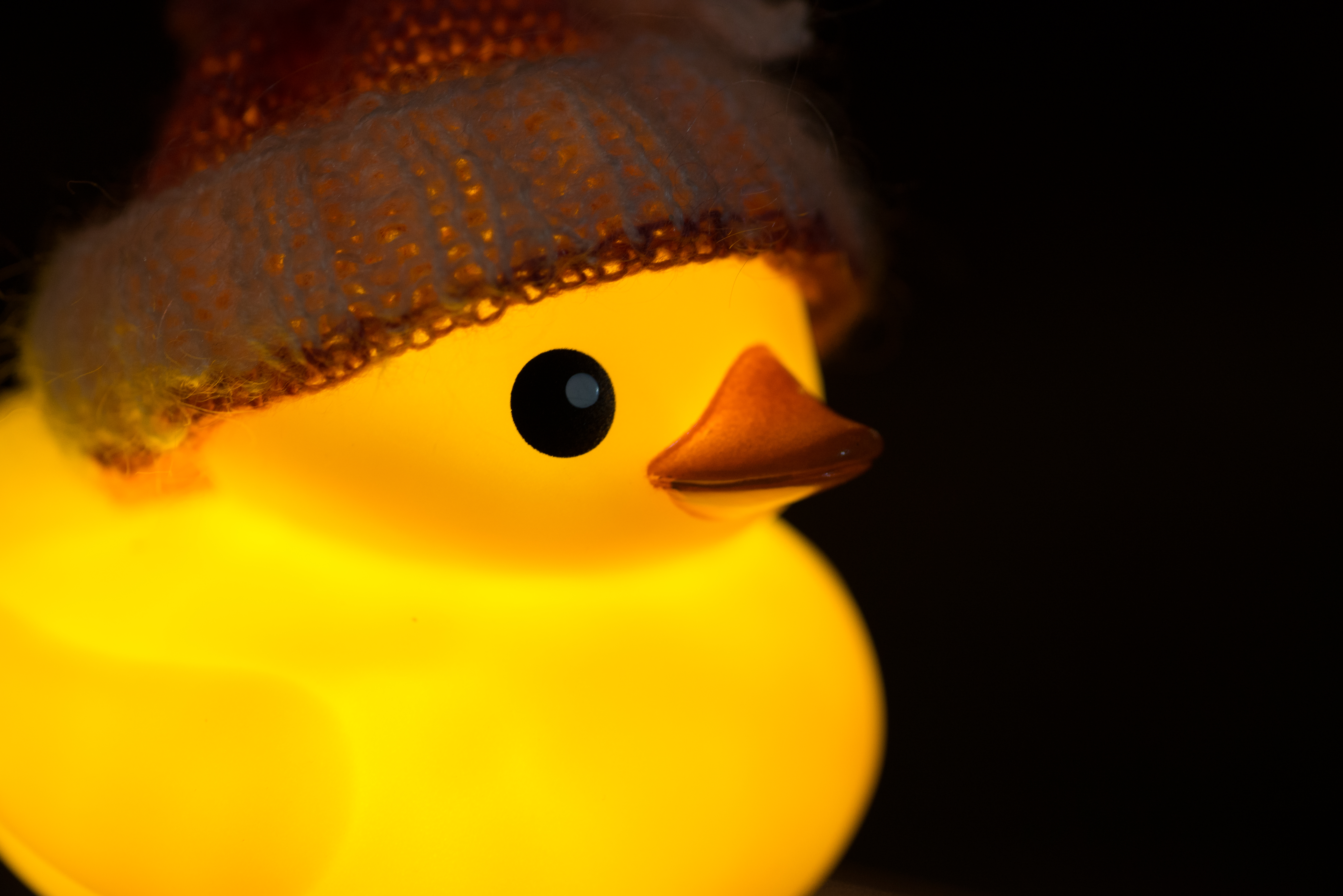Lover Duck - ラバーダック