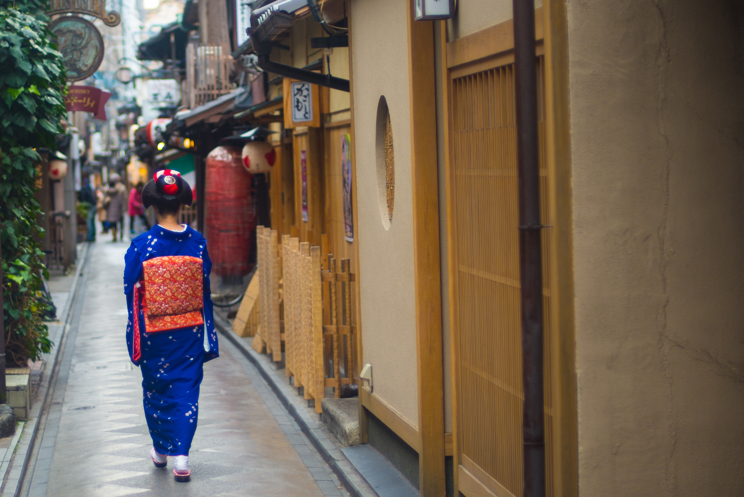 maiko - 木屋町の舞妓さん