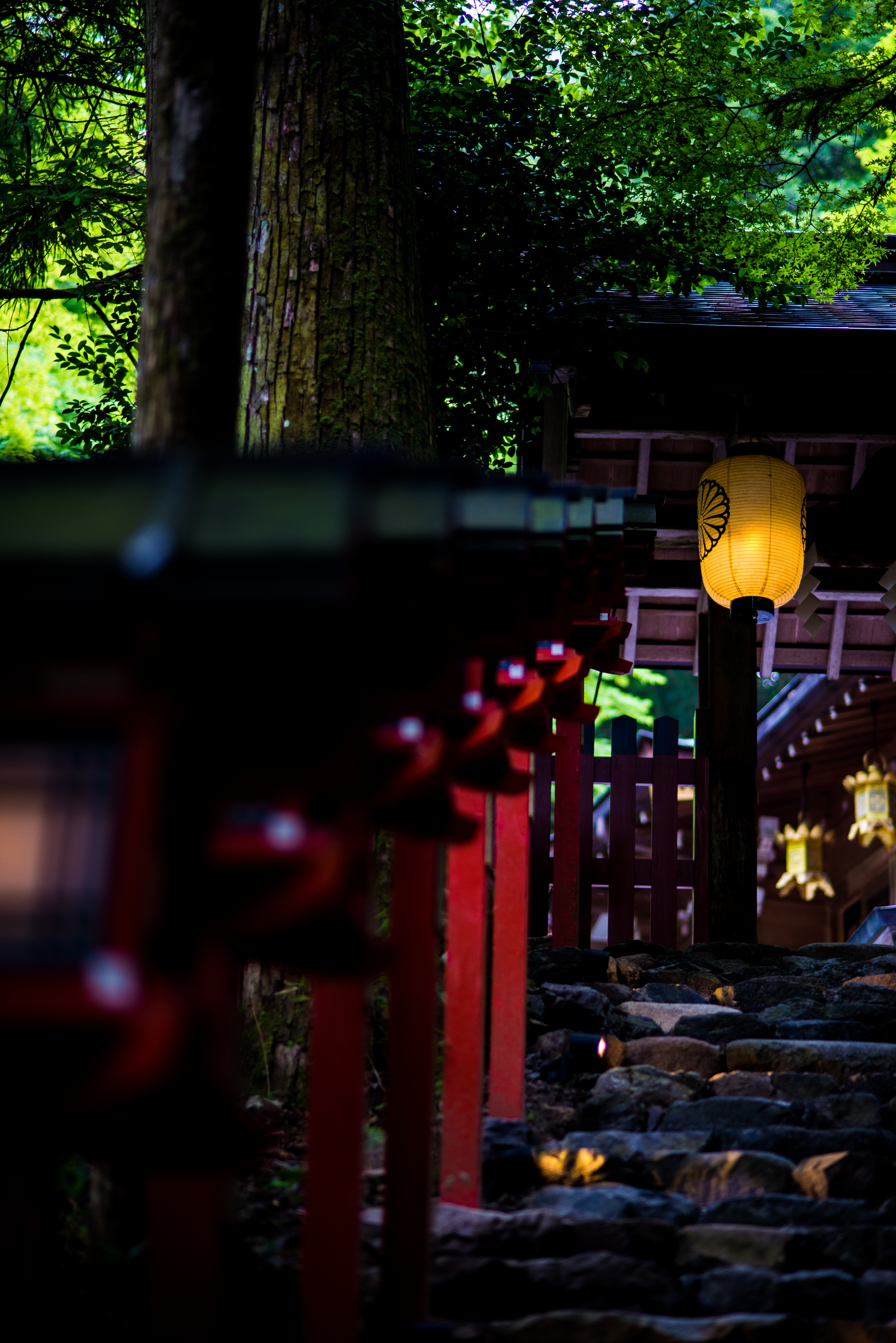 KIFUNE - 貴船神社本宮
