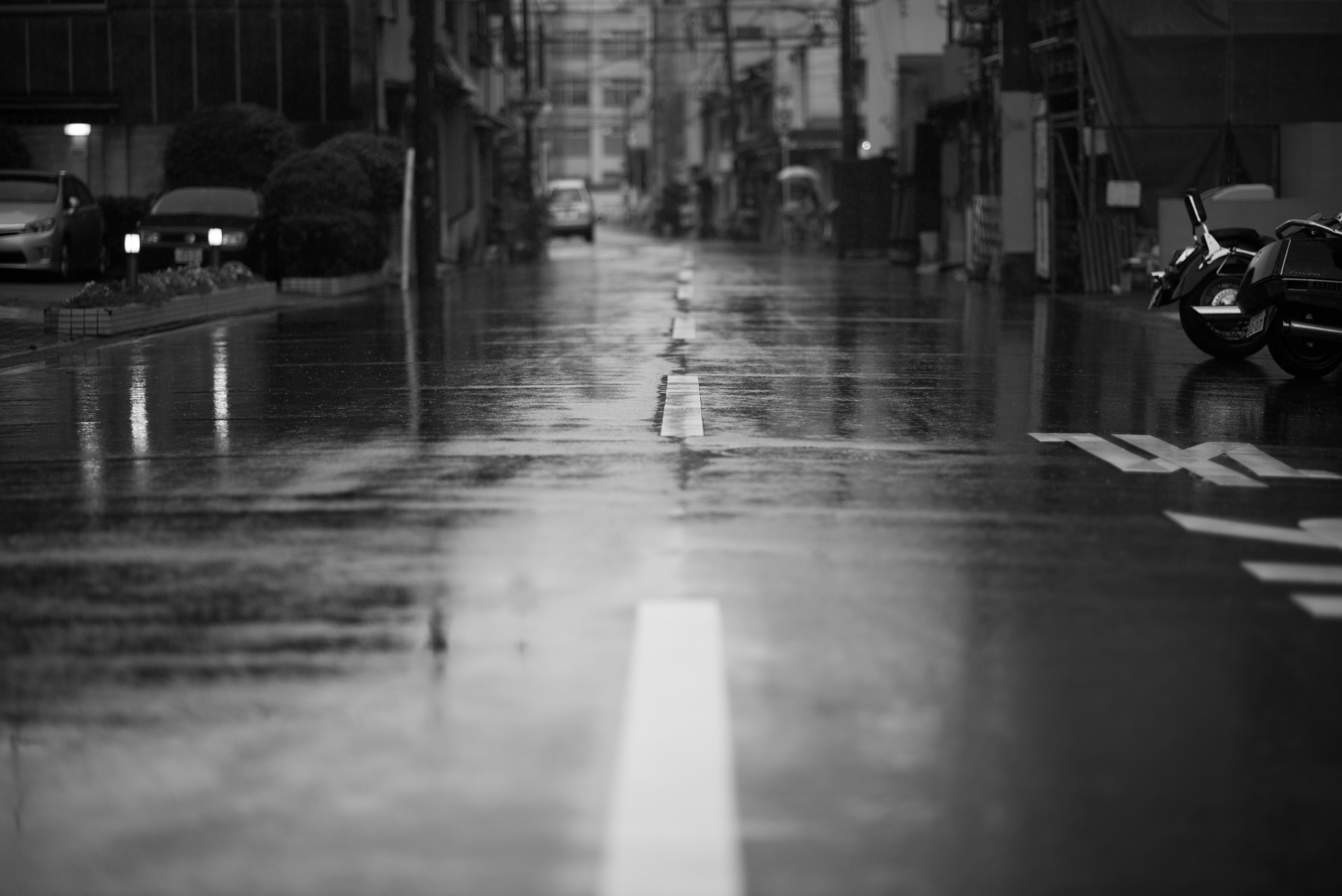 Rainy day Black and White - 雨の日モノクローム