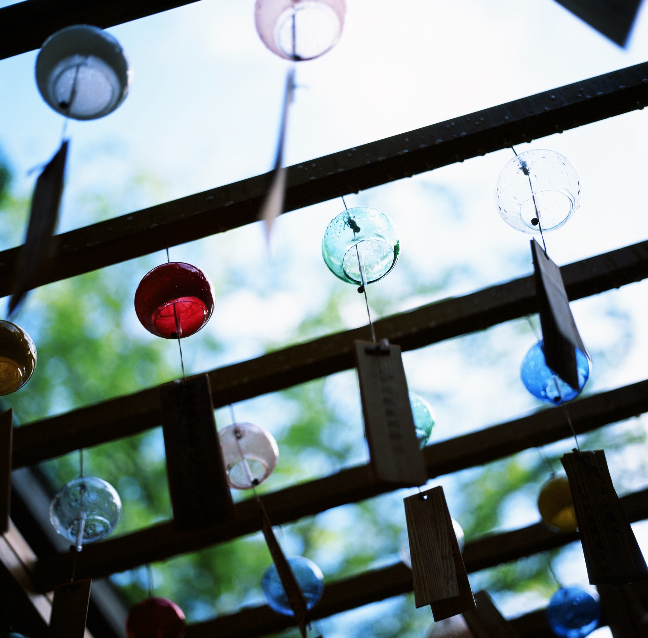 Furin - 川越氷川神社