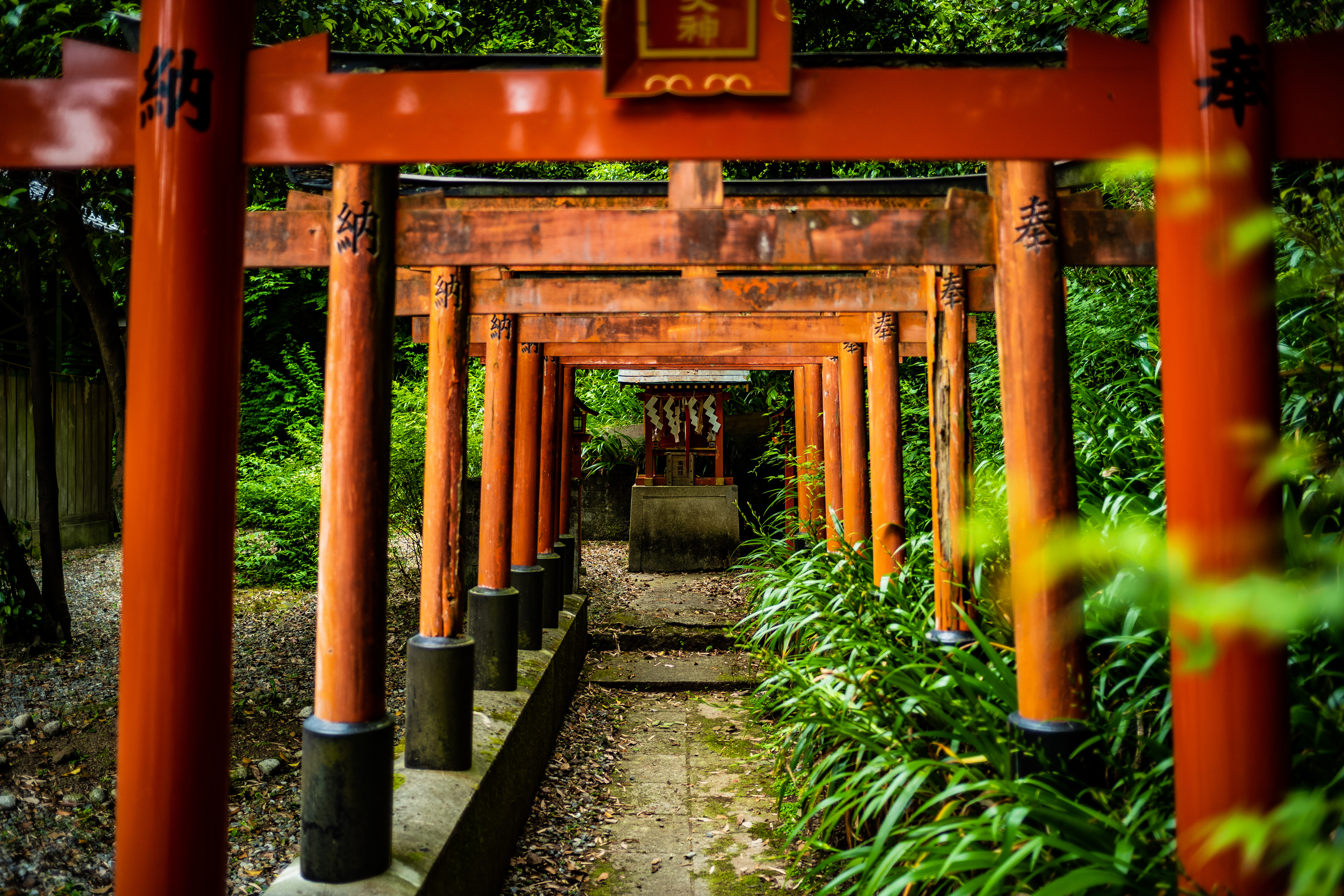 Shirine - 山中の神社