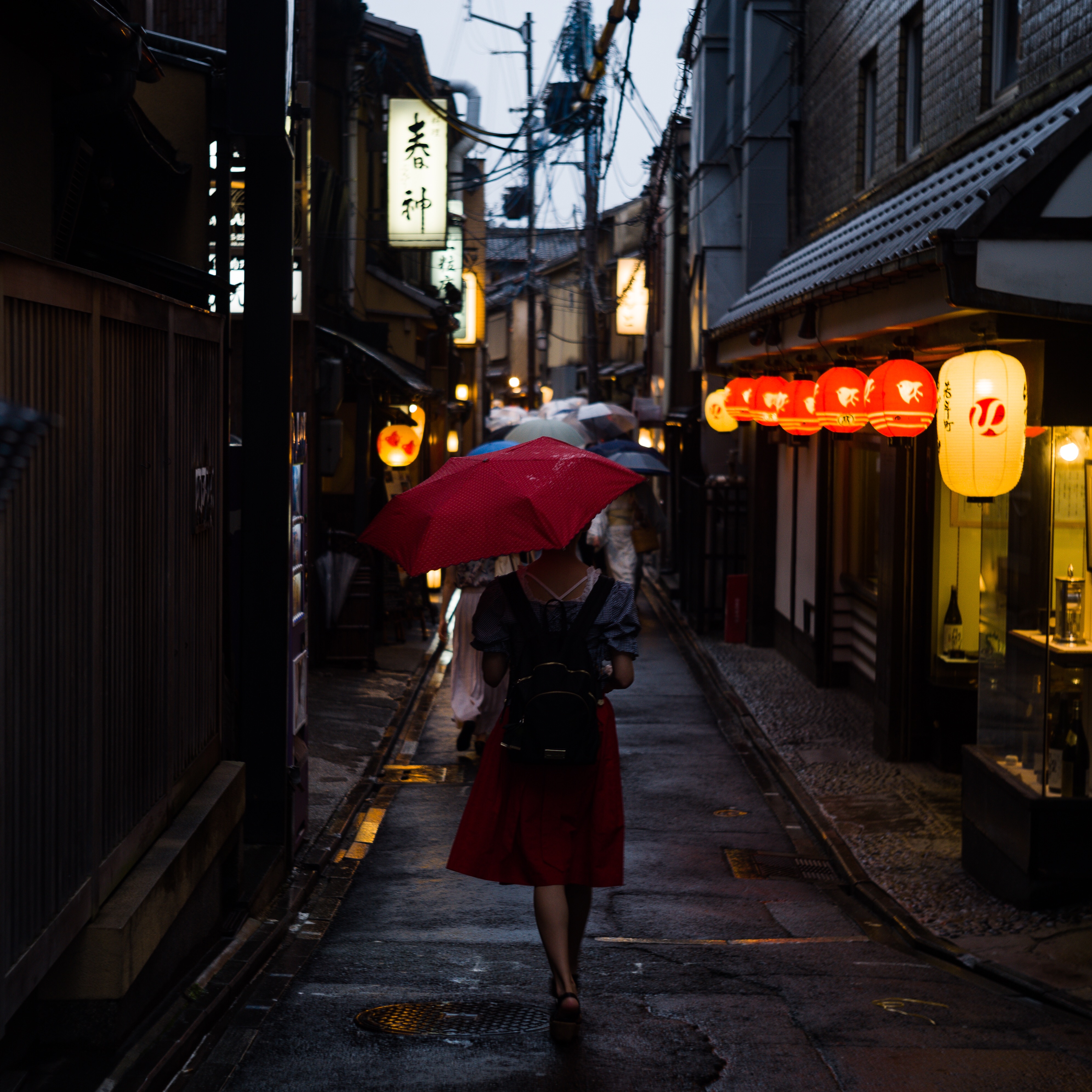 rainy - 雨の日の先斗町