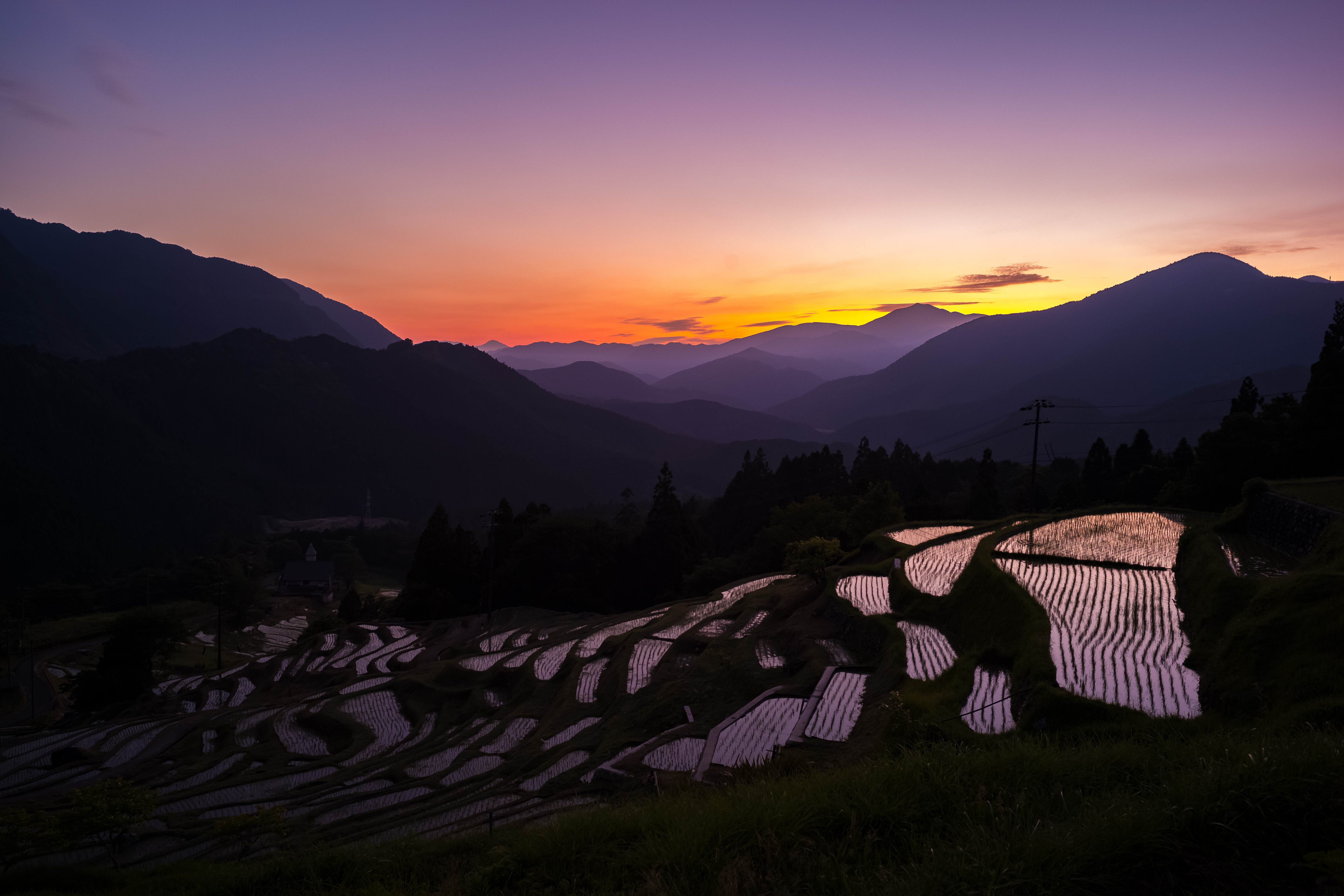 Sunset Senmaida - 夕暮れの千枚田