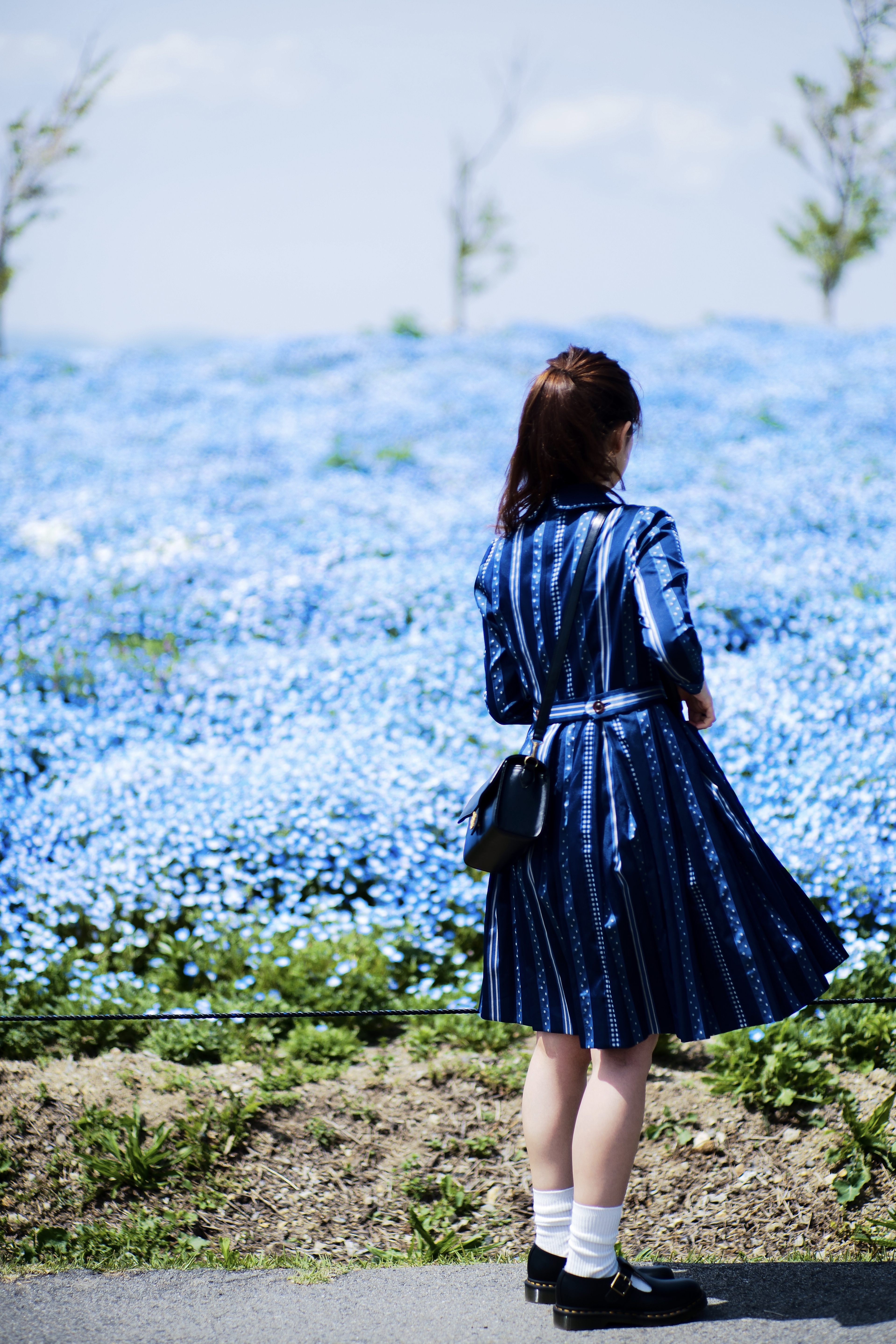 Nemophila Blue - ネモフィラの青とワンピースの青の対比に。