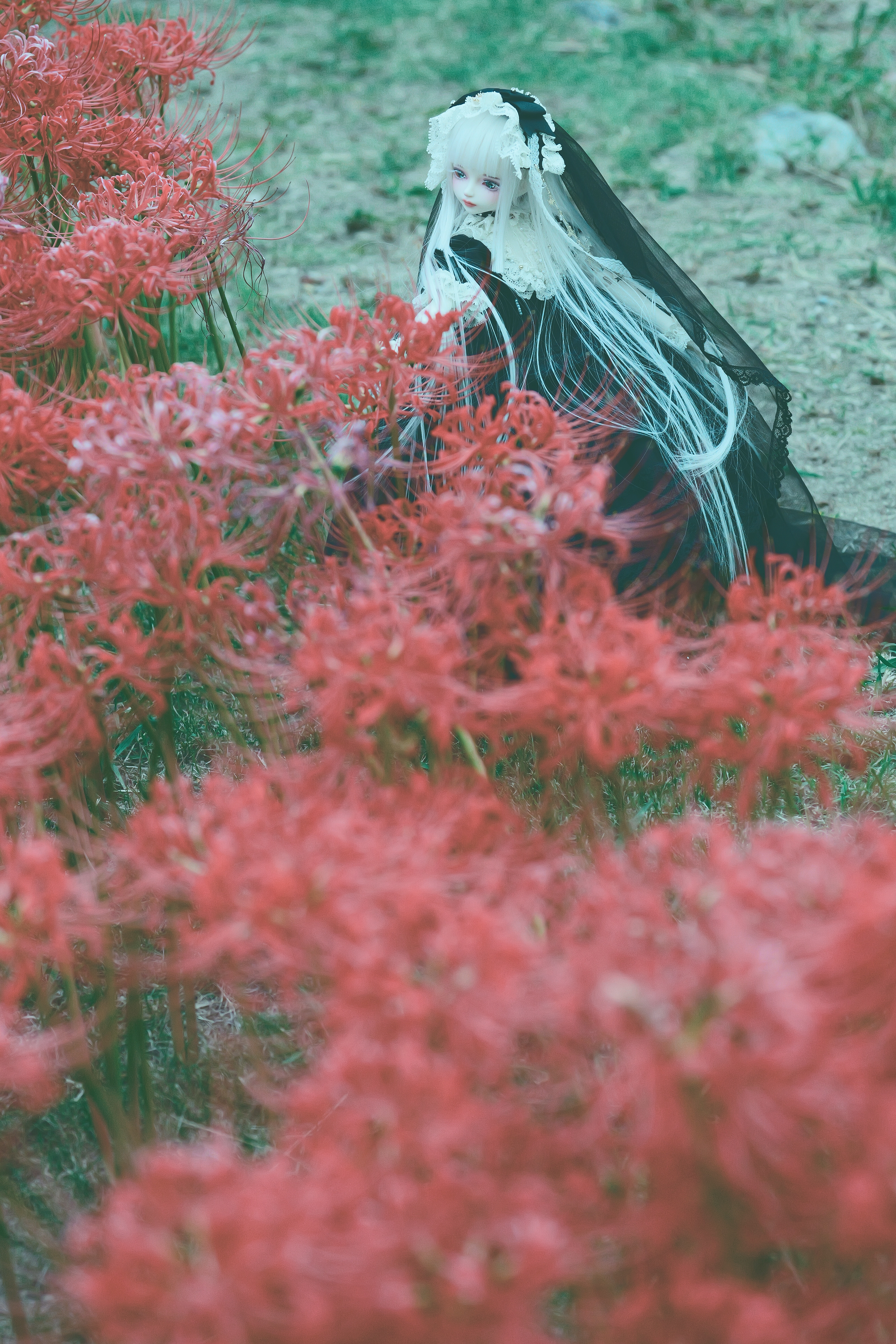 彼岸花とドール - 