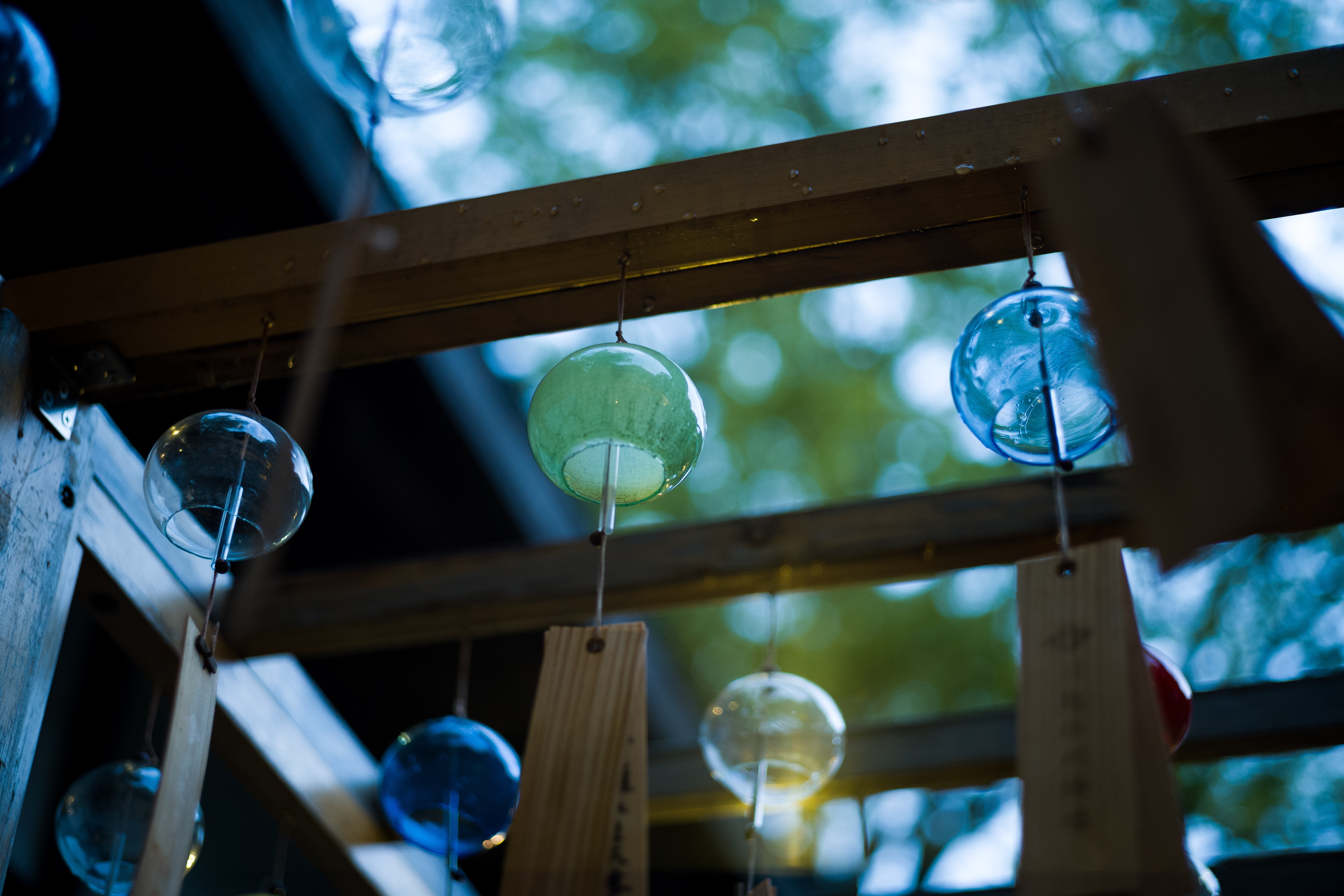 Furin - 夕立の川越氷川神社