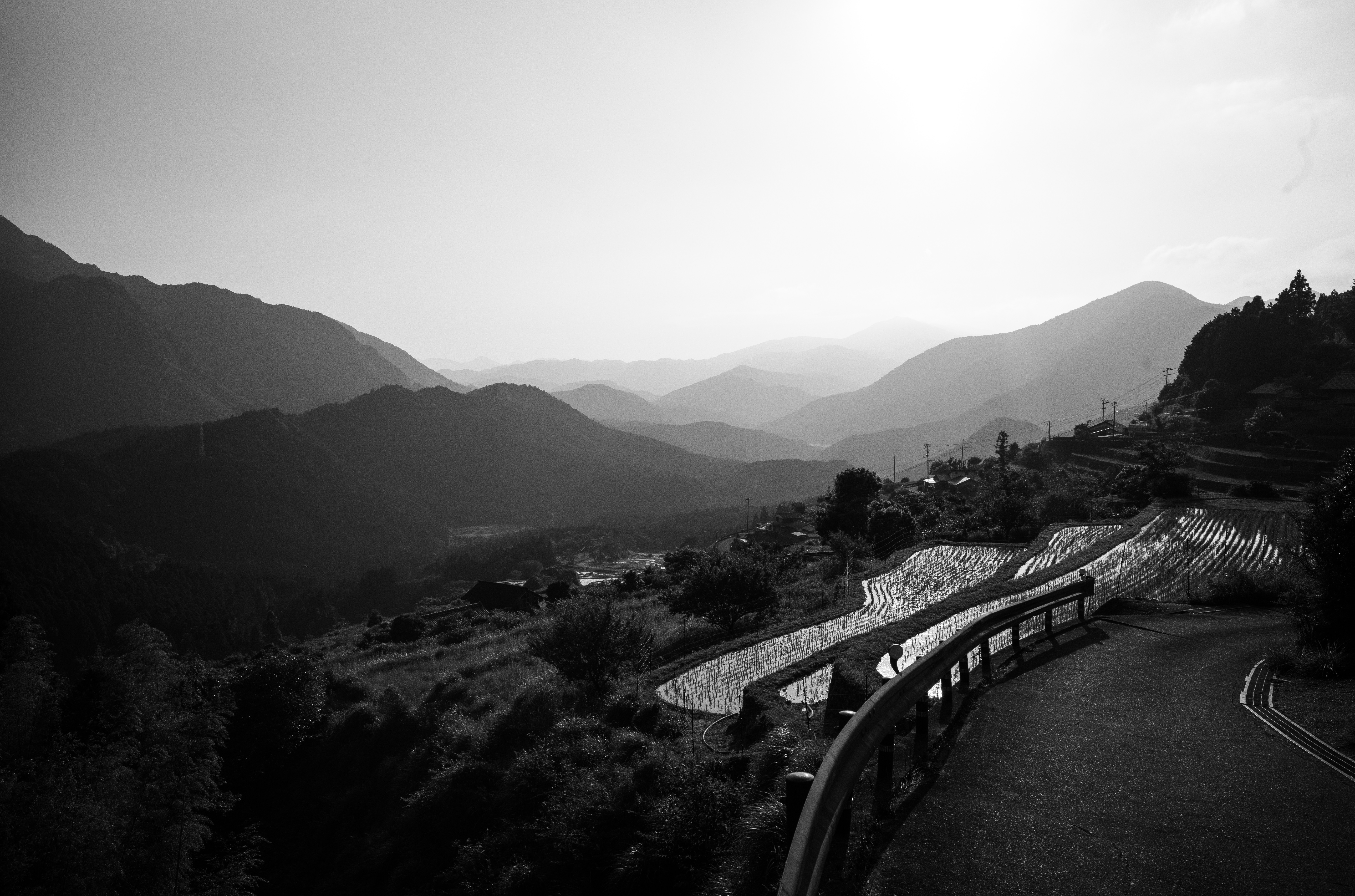 Maruyama Senmaida - いわゆる日本の原風景