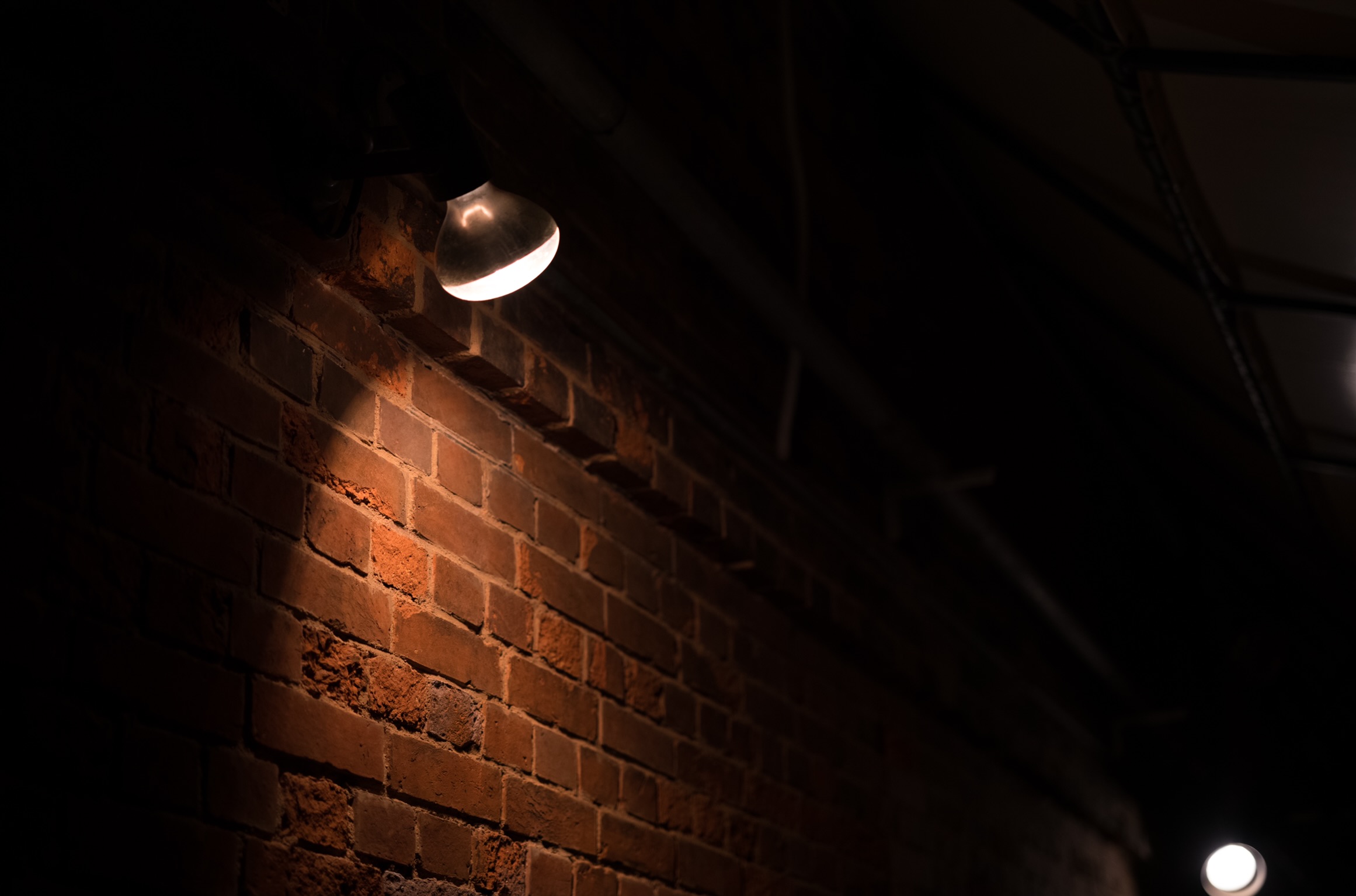 Spotlight