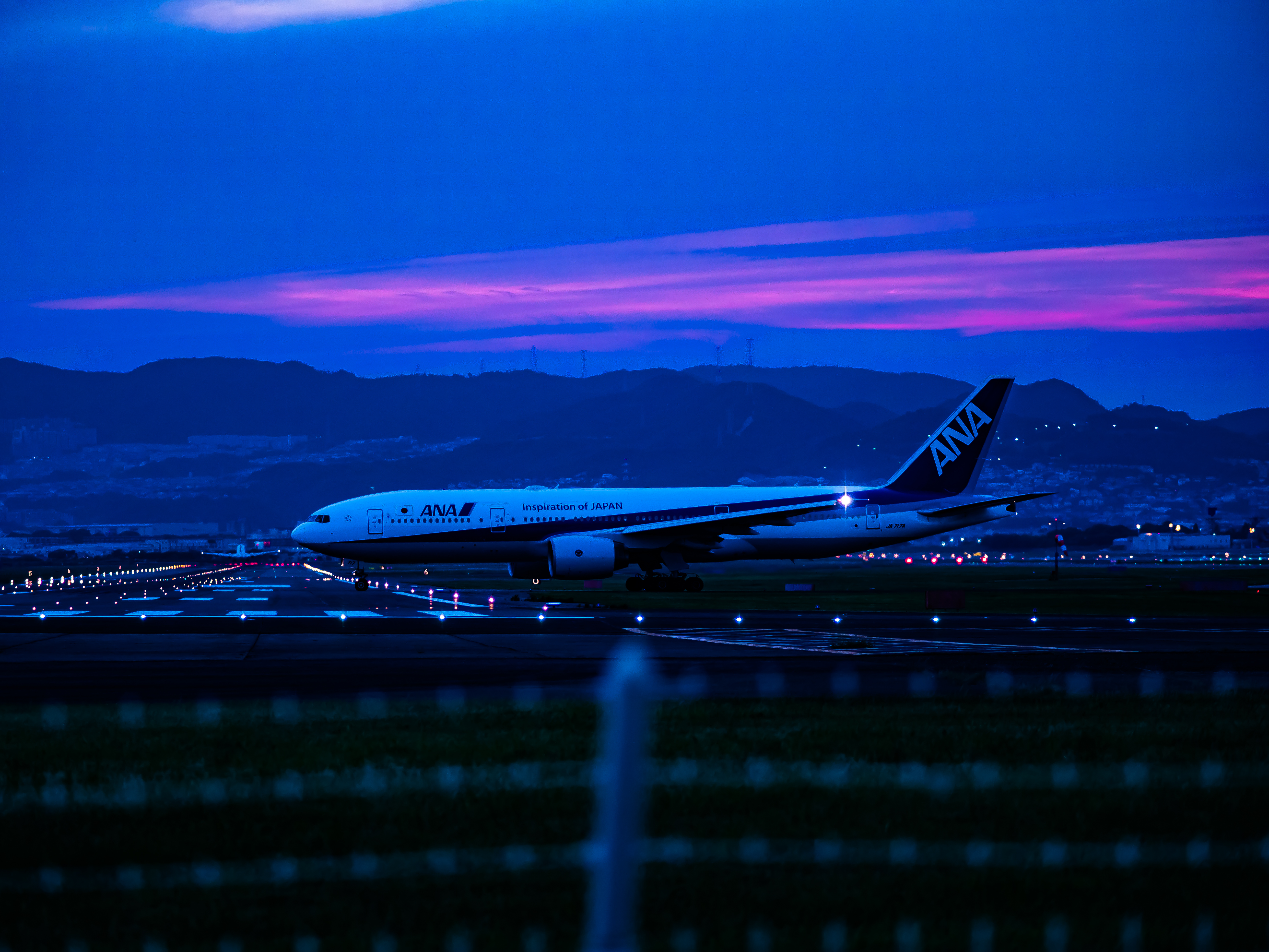 airplane - 夕暮れのANAを伊丹空港土手から