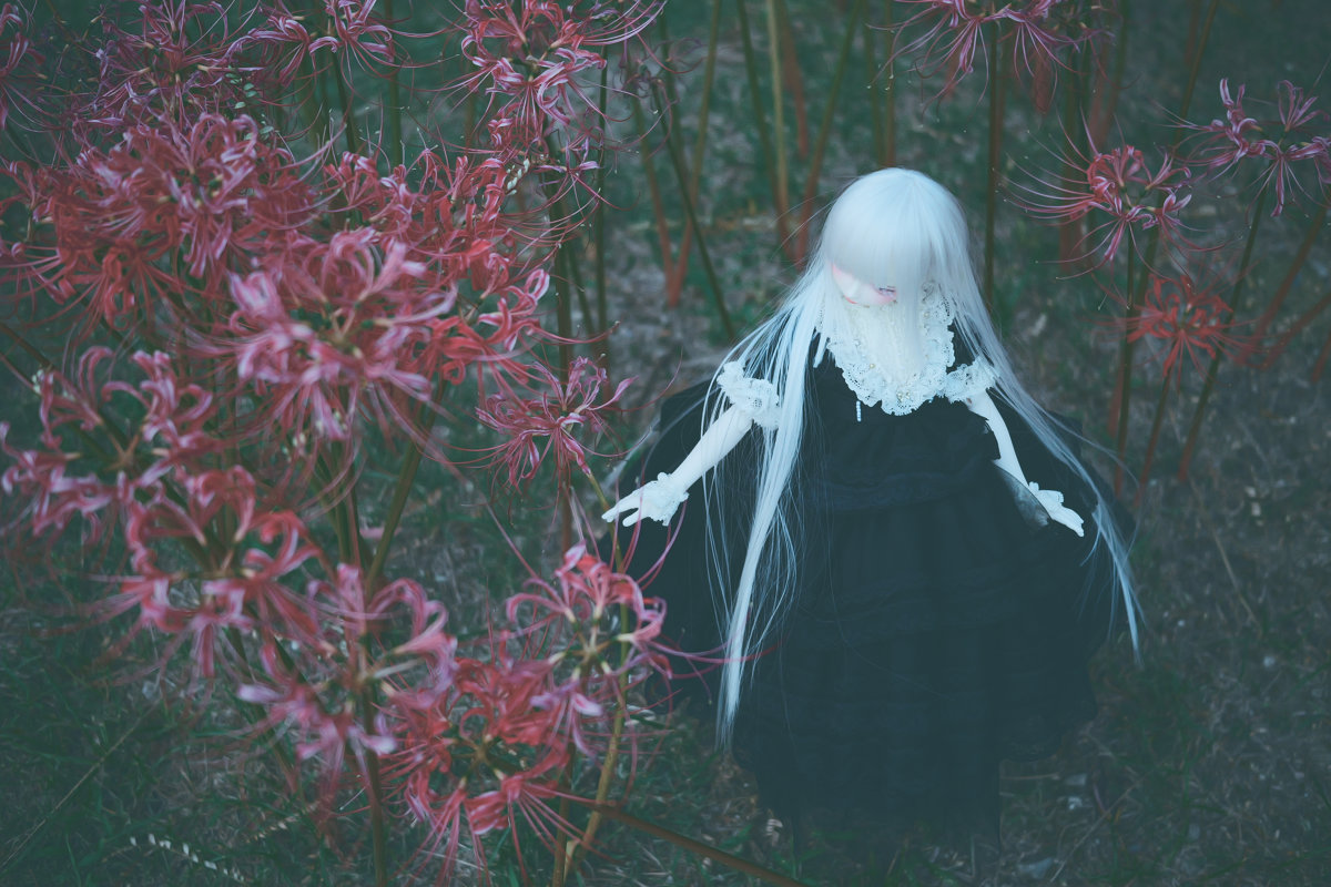 彼岸花とドール